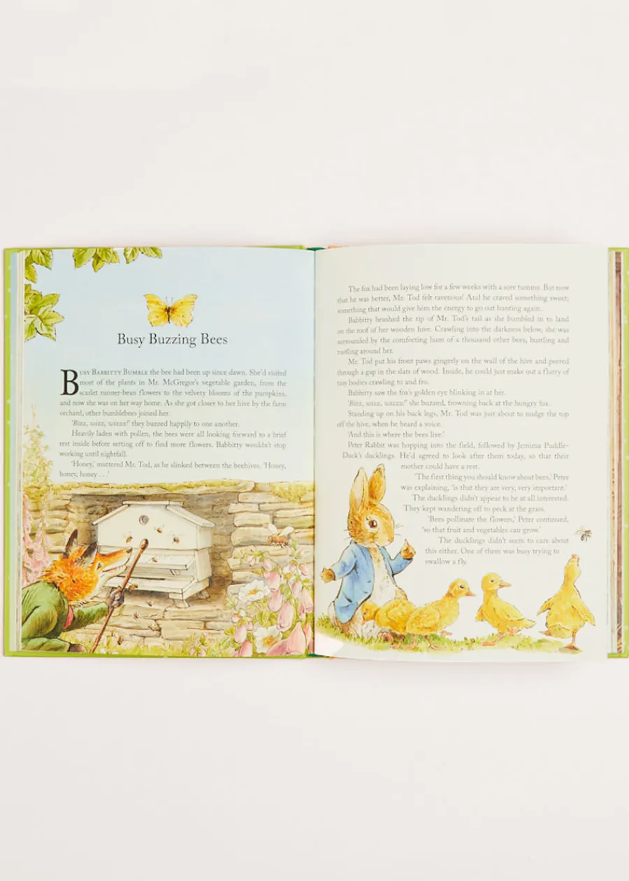 BOY Pepa London Peter Rabbit Tales from the Countryside Book in Green