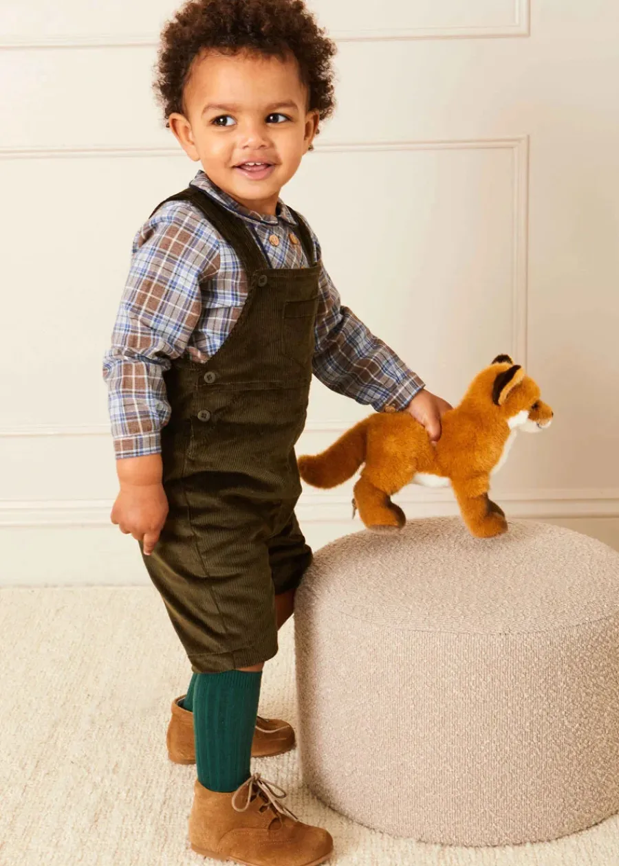 BOY Pepa London Ribbed Knee High Socks in Bottle Green (3mths-10yrs)